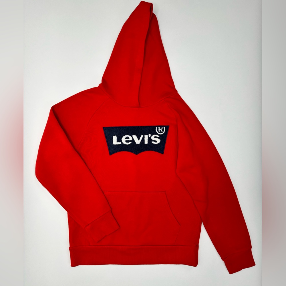 Big Kids, “LEVIS” Plush Logo Hoodie.
